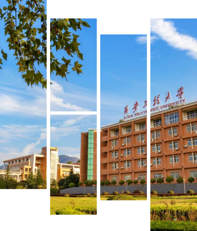 色情视频